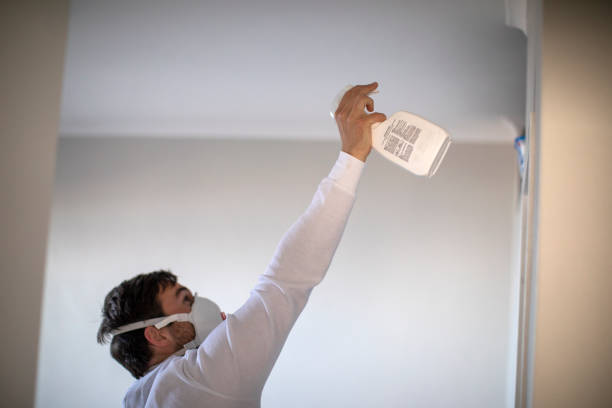 Best Same-Day Mold Removal  in Albany, KY