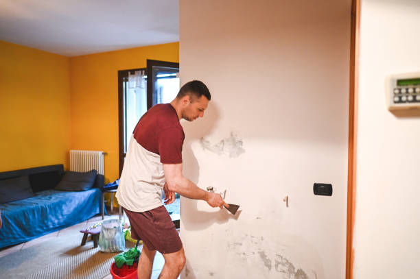 Mold Removal and Inspection in Albany, KY